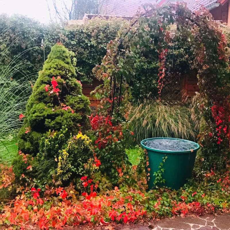 Herbstgarten